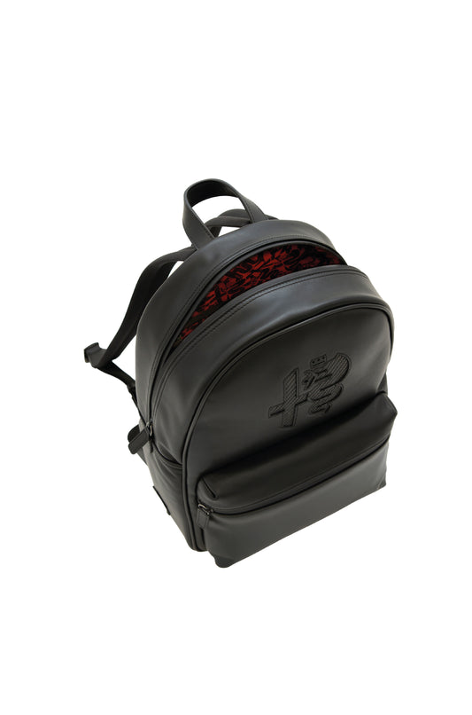 Carbon Backpack